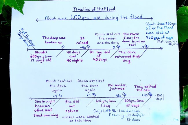 Teaching 1-3: Noah's Flood/Timeline/Conclusion