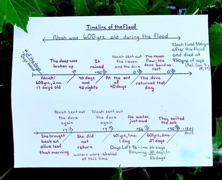 Teaching 1-3: Noah's Flood/Timeline/Conclusion