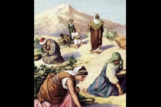 Given Unto Us